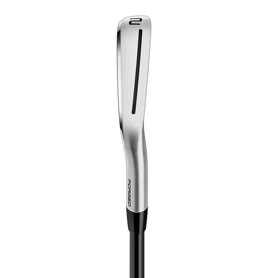 P770 2 Iron image number 3