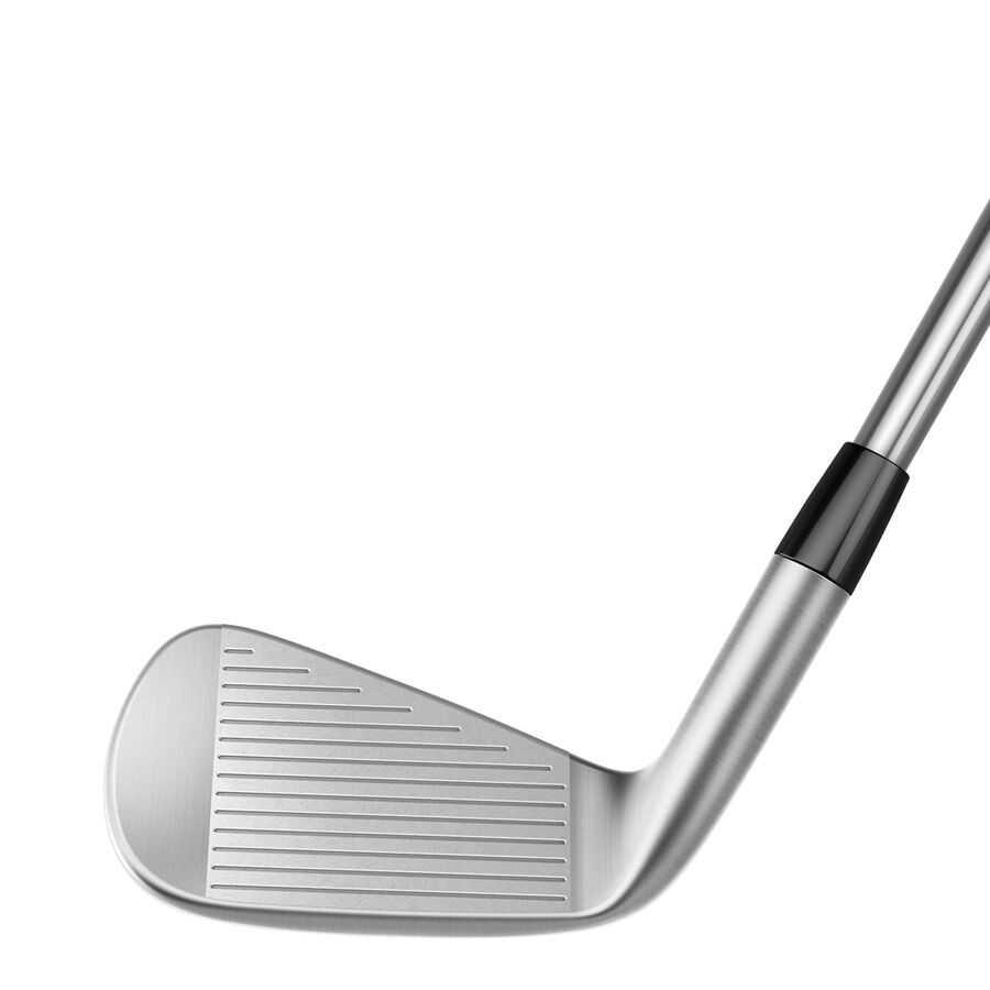 P770 IRONS image number 2