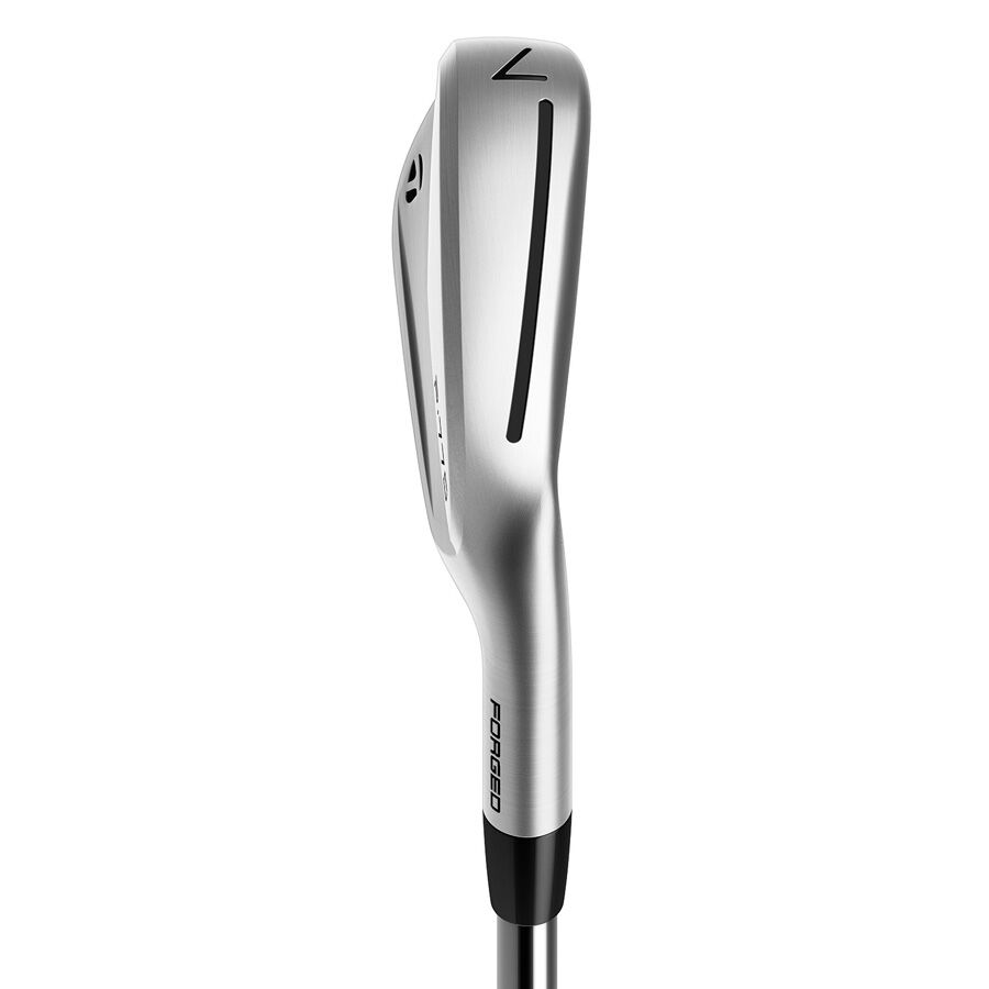 P770 IRONS image number 3