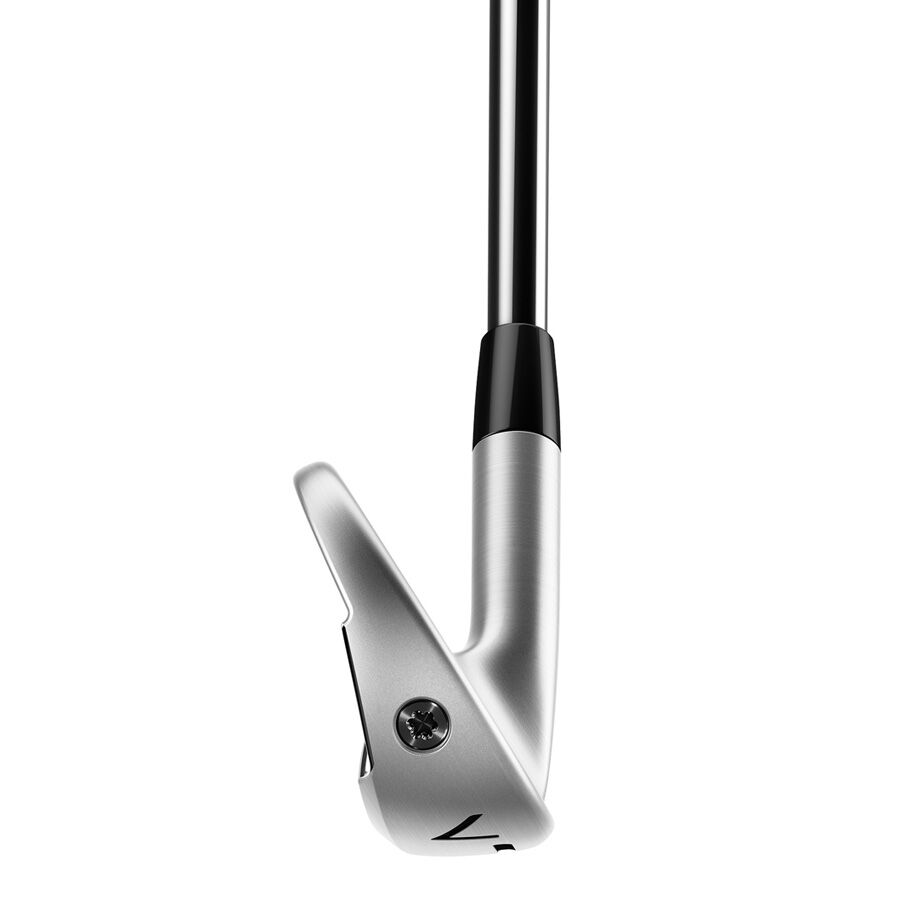 P770 IRONS image number 4