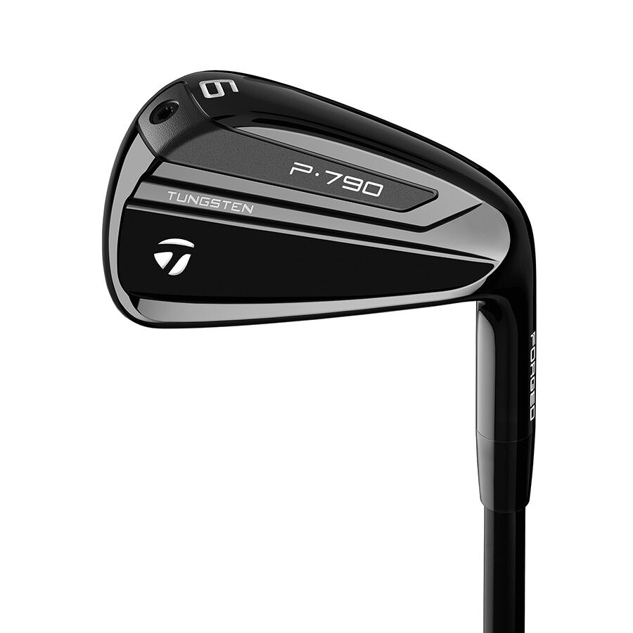 P790 Black Irons image number 0