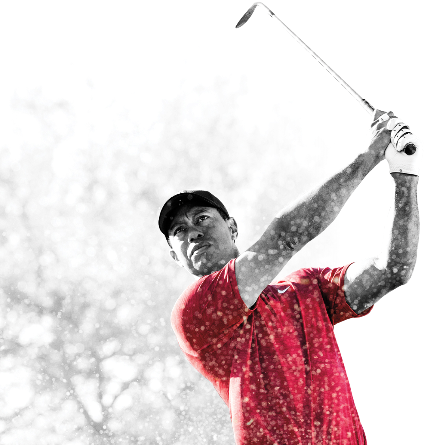 Tiger Woods